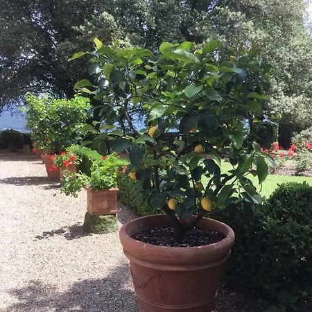 Гостевой дом Castello Il Poggio *