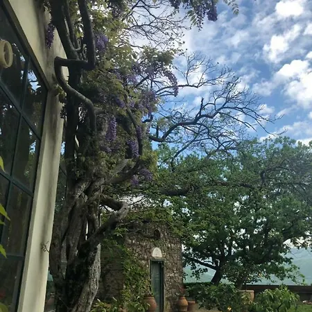 Гостевой дом Castello Il Poggio *